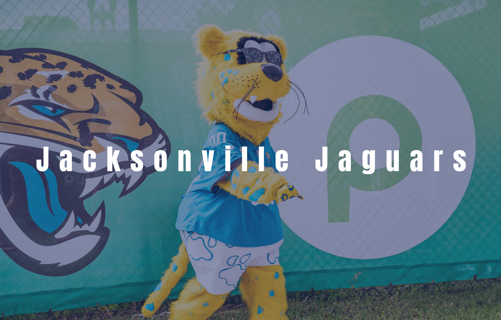 Jaguars team mascot interacting with attendees in front of a Publix-sponsored event display.